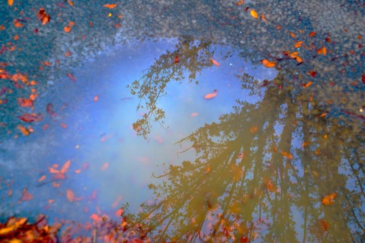 スマホで撮る紅葉写真が劇的に変わる！プロに教わるちょっとした６つのコツ（画像7）