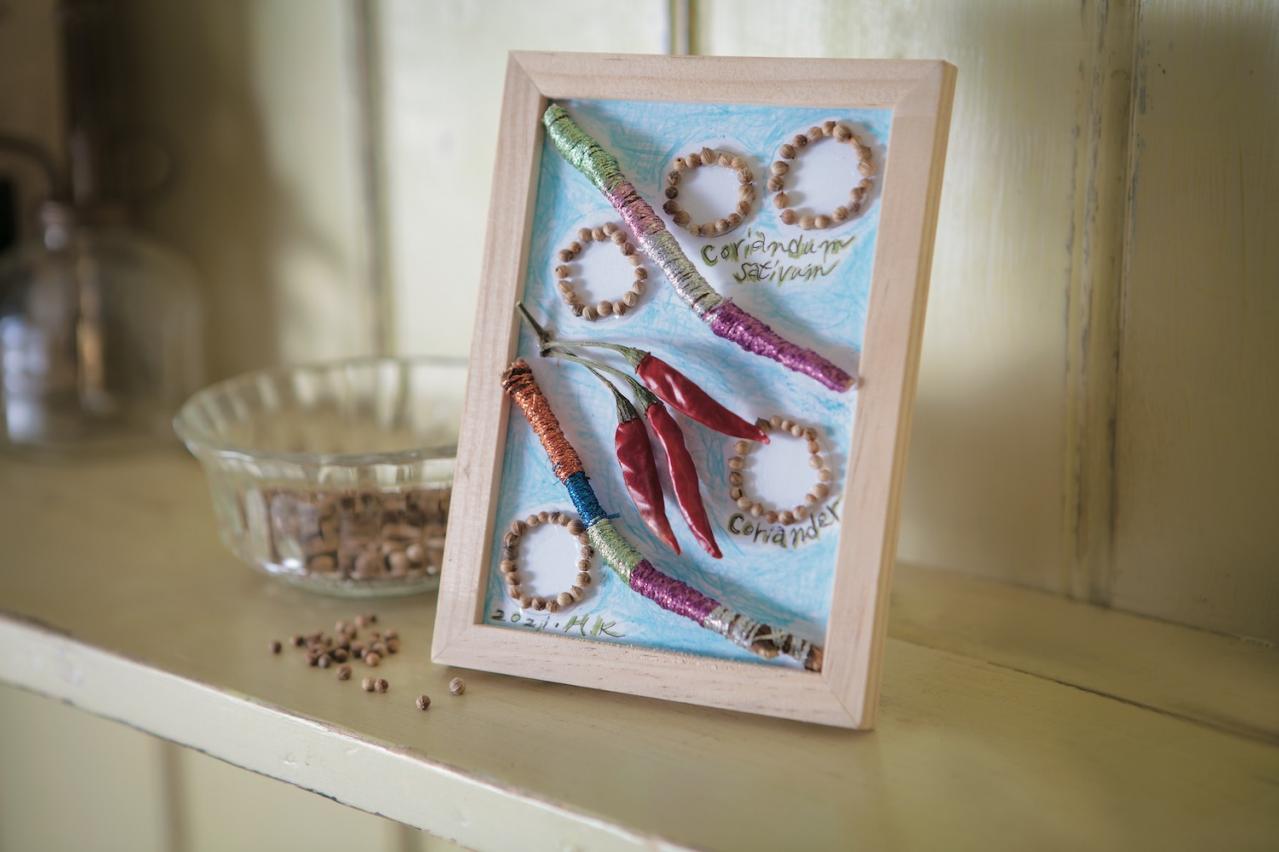 【ガーデニング】育てて楽しいハーブ【コリアンダー】の栽培方法と活用アイデア3選（画像8）