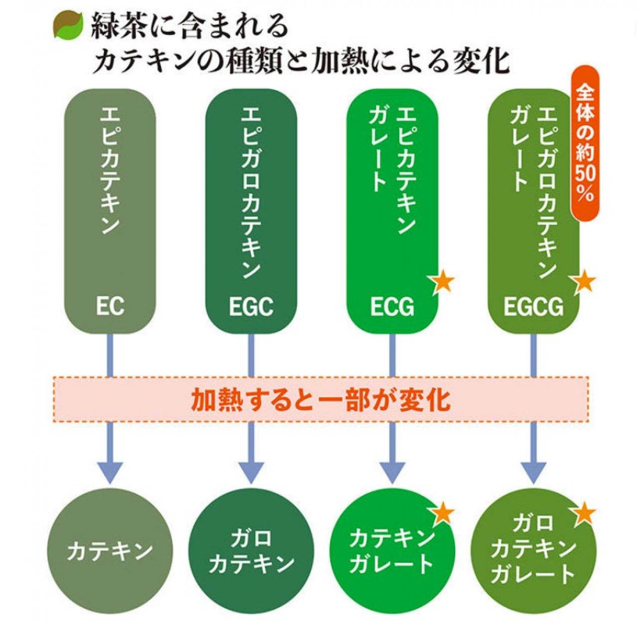 緑茶がダイエットにいいと言われる理由は？「カテキン」の働きを医師が解説（画像2）