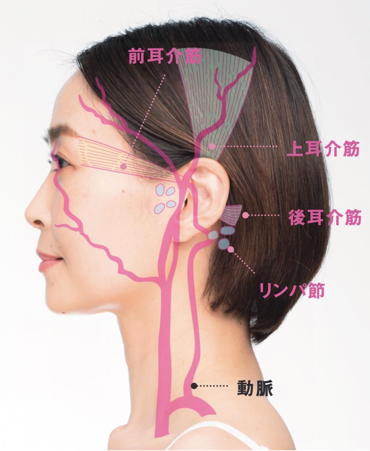 【奇跡のたるみリフト】最短で顔が若返る村木宏衣さん流メソッドとは？ （画像2）