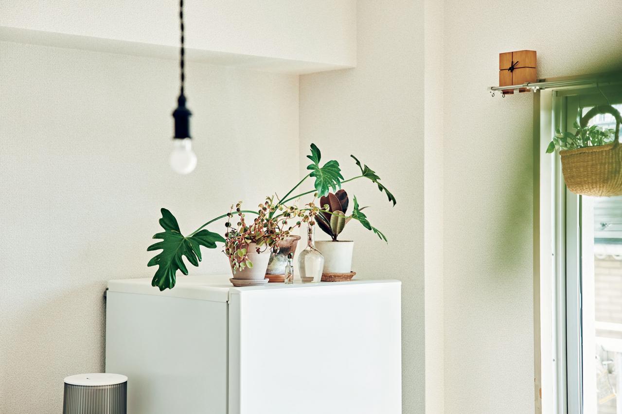 【大人のひとり暮らし】郊外に越して、老後の貯蓄に。2匹の猫と暮らす。イラストレーター柿崎こうこさん（画像5）