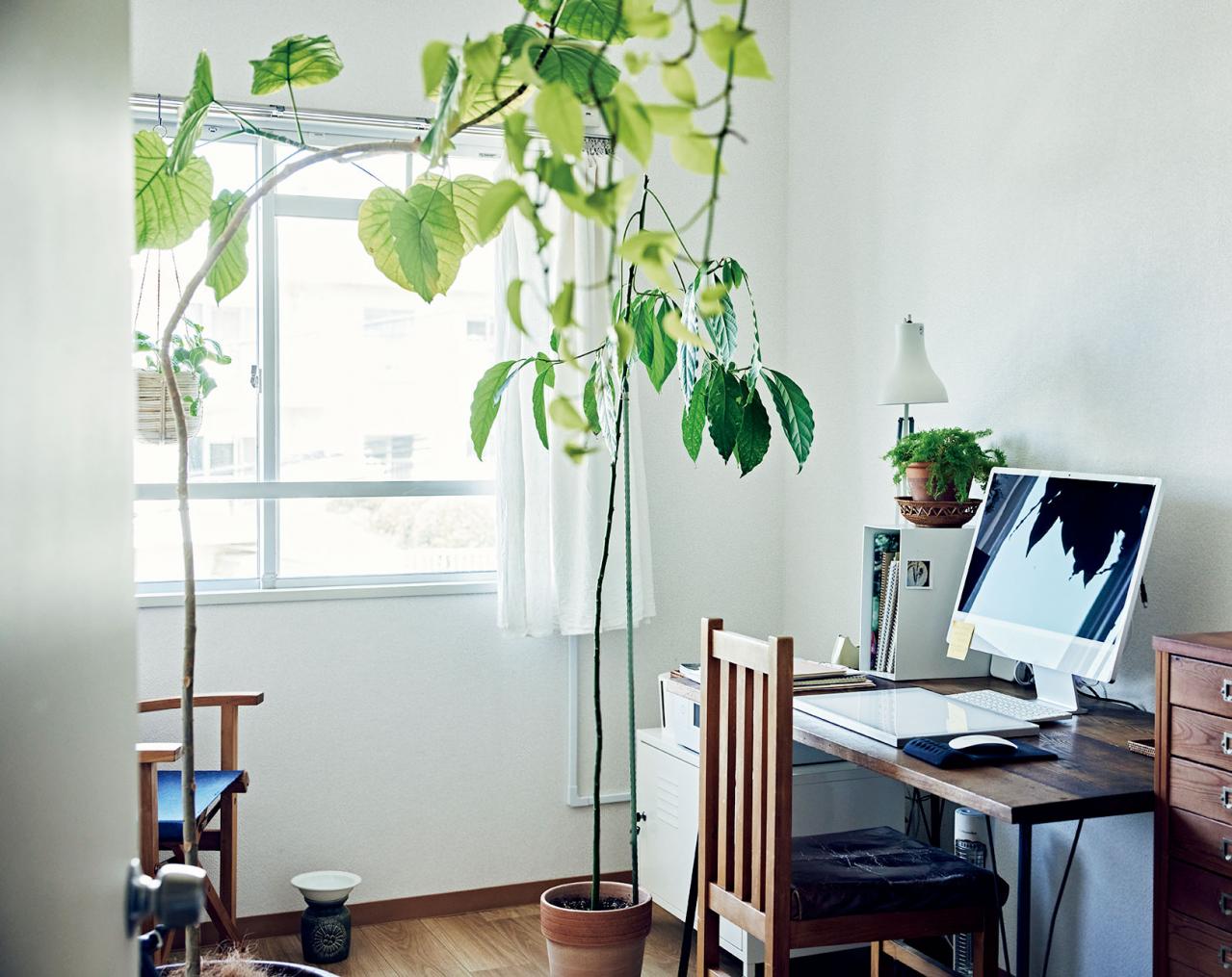 大人のひとり暮らし【後編】用途ごとに部屋を使い分けてメリハリを！イラストレーター柿崎こうこさん（画像4）