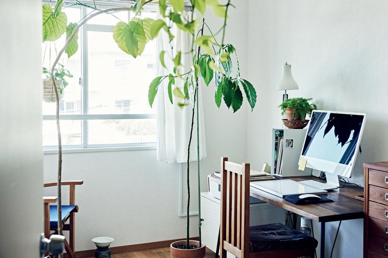 大人のひとり暮らし【後編】用途ごとに部屋を使い分けてメリハリを！イラストレーター柿崎こうこさん