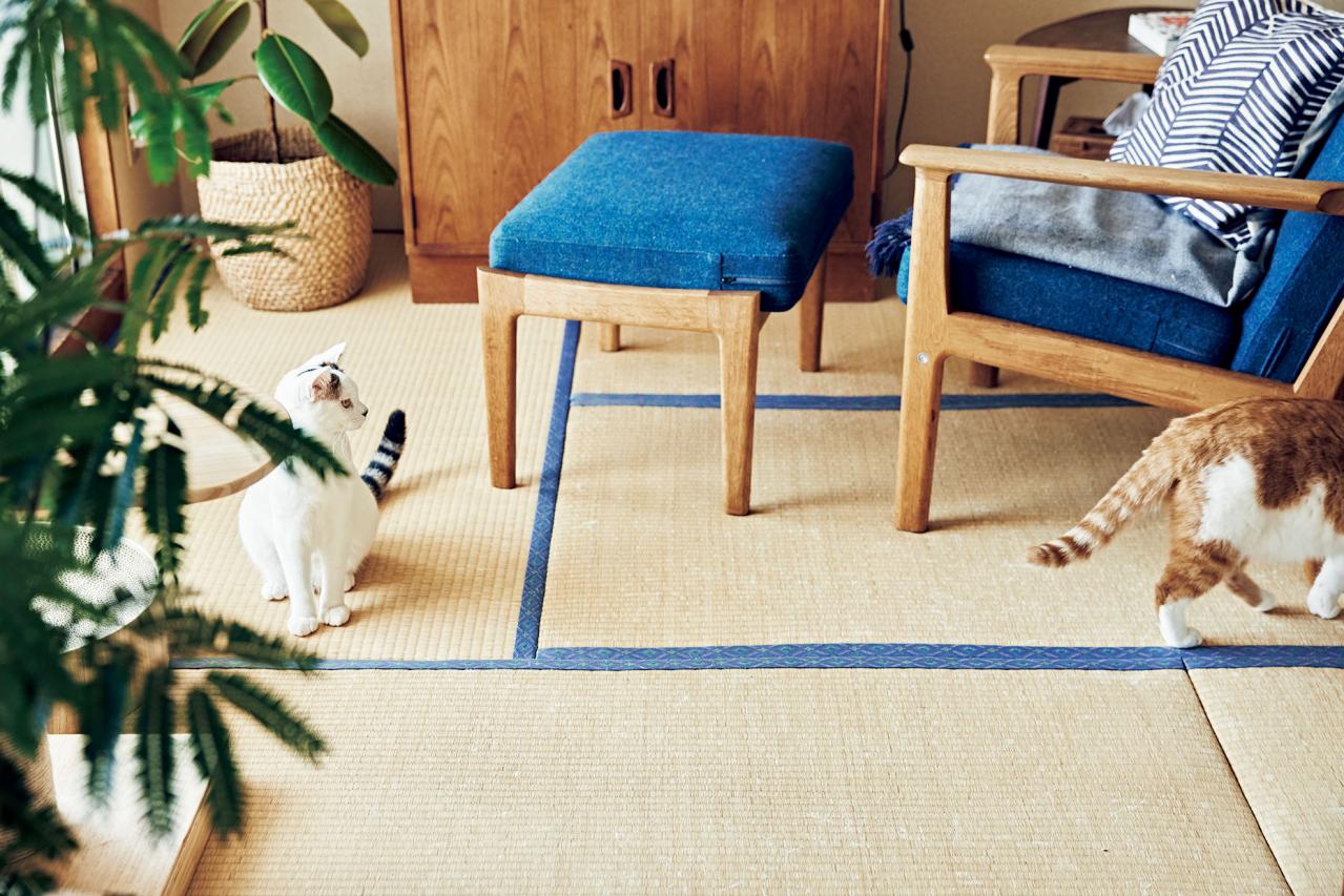 大人のひとり暮らし【後編】用途ごとに部屋を使い分けてメリハリを！イラストレーター柿崎こうこさん（画像5）