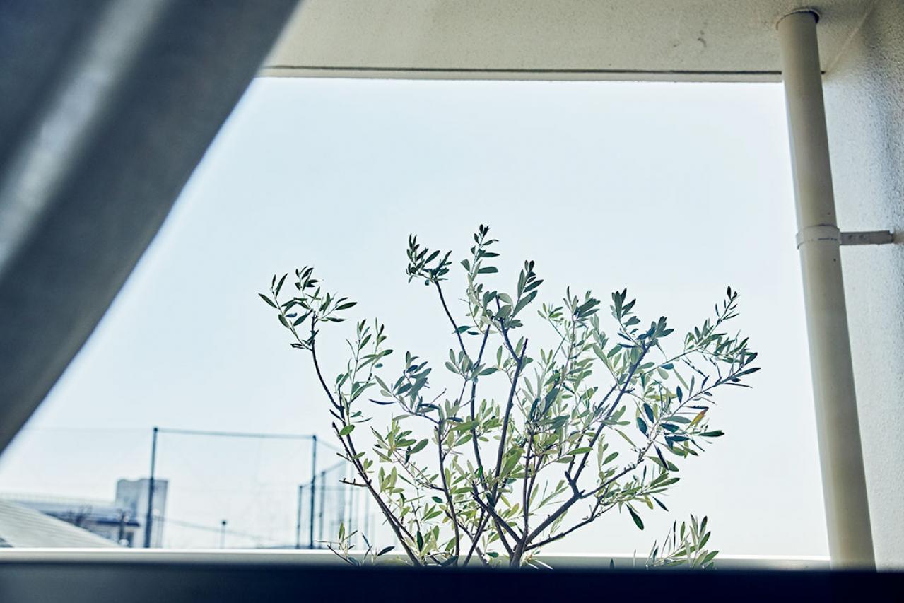 大人のひとり暮らし【後編】用途ごとに部屋を使い分けてメリハリを！イラストレーター柿崎こうこさん（画像6）