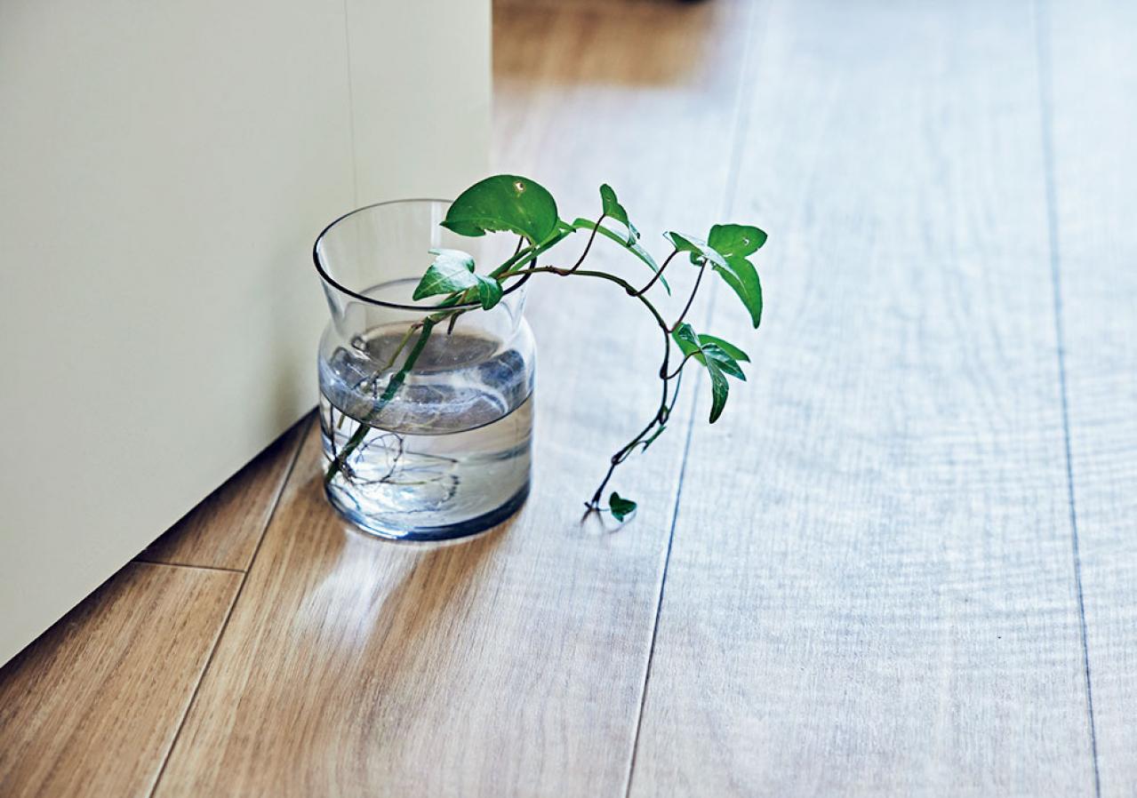 大人のひとり暮らし【後編】用途ごとに部屋を使い分けてメリハリを！イラストレーター柿崎こうこさん（画像2）