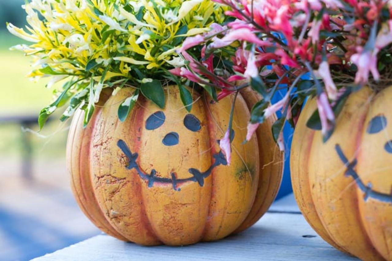 【ハロウィン特集】秋の草花と観賞用カボチャで玄関を彩る簡単ガーデニング（画像5）