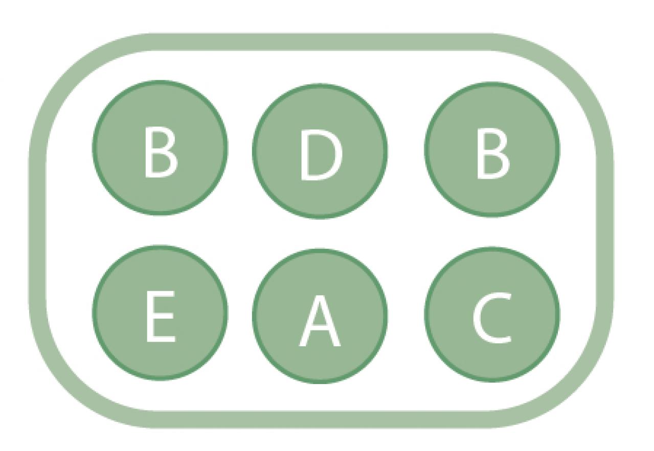 ニュアンスカラーの花を春まで楽しむ「アネモネ＆パンジー・ビオラ」の寄せ植え【ガーデニング】（画像5）