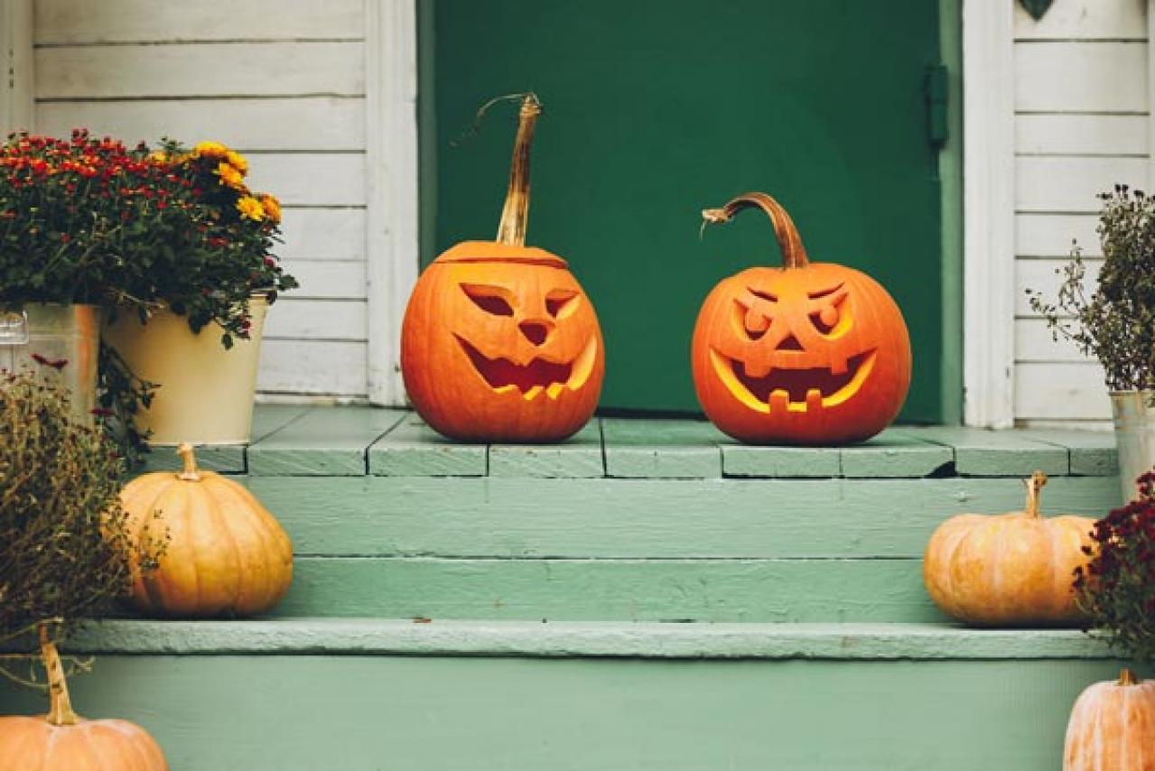 【ハロウィン特集】秋の草花と観賞用カボチャで玄関を彩る簡単ガーデニング（画像2）