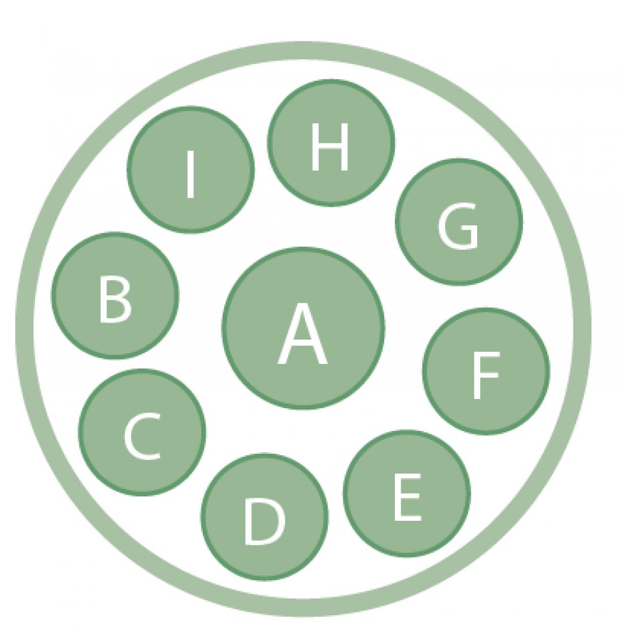 春まで長く花を楽しめる！「アネモネ＆ラナンキュラス」の寄せ植え 【ガーデニング】（画像6）