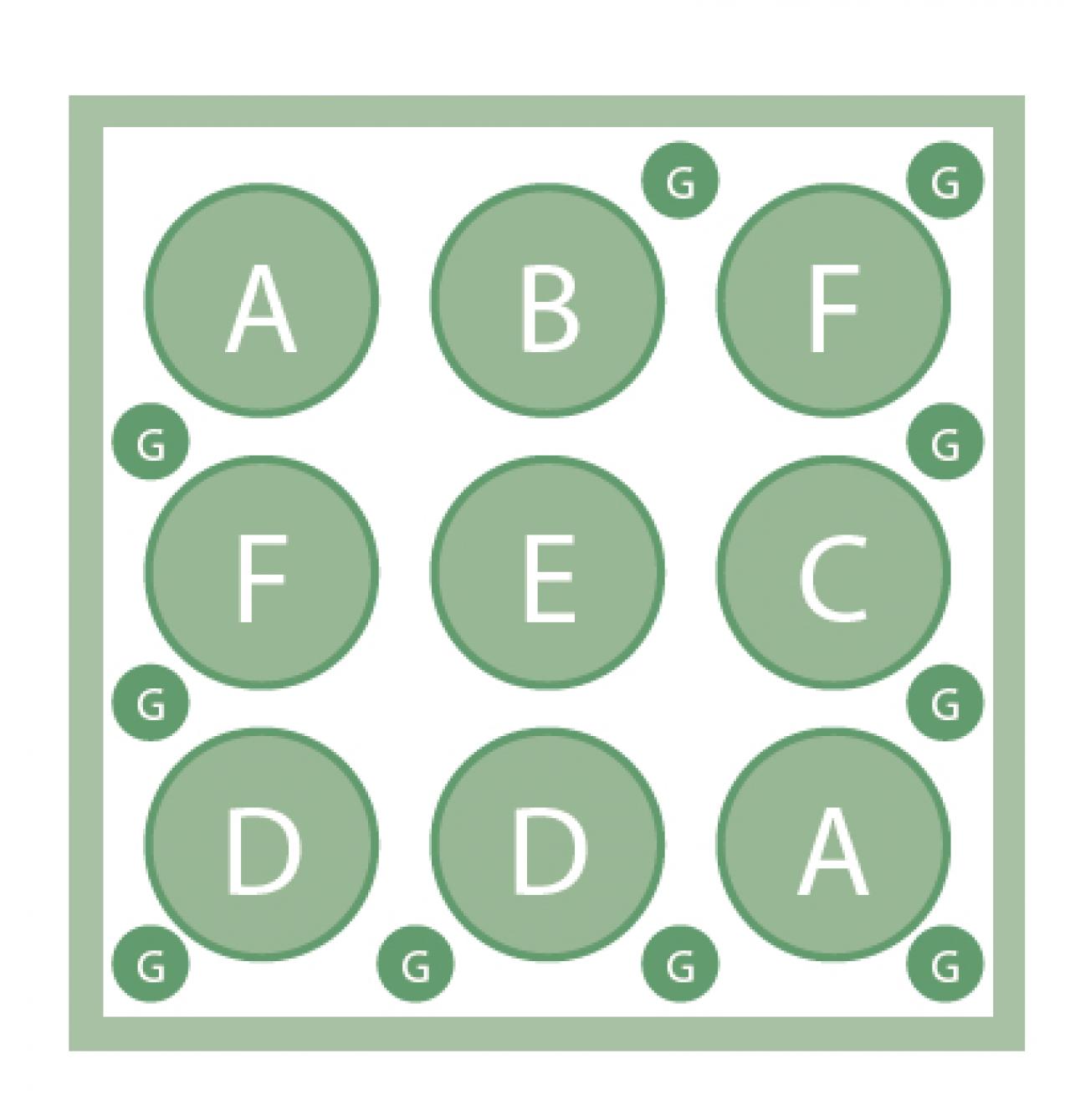 数年植えっぱなしでOK！「宿根草・常緑樹」のロングライフ寄せ植え【ガーデニング】（画像5）