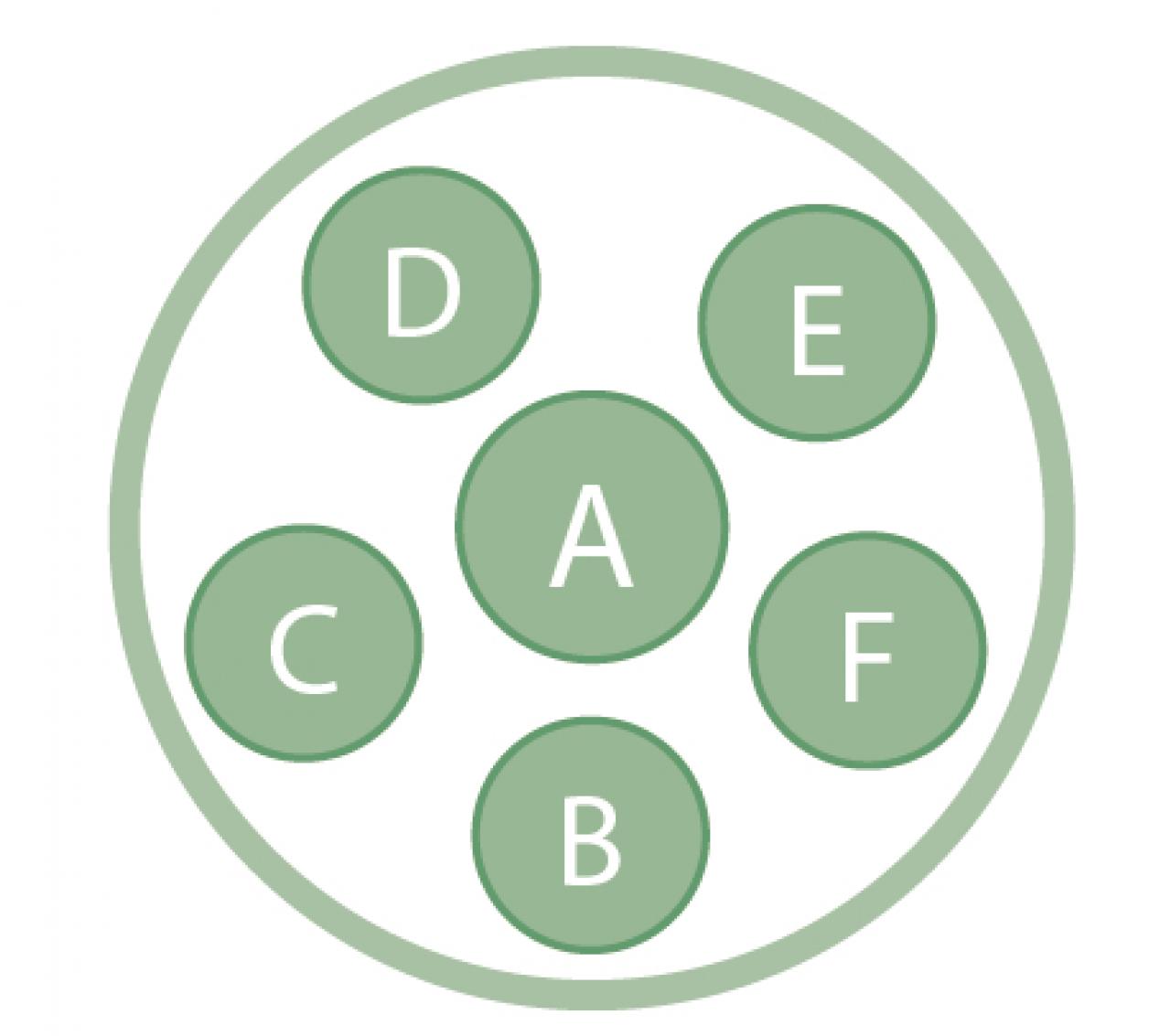 数年植えっぱなしでOK！「宿根草・常緑樹」のロングライフ寄せ植え【ガーデニング】（画像3）