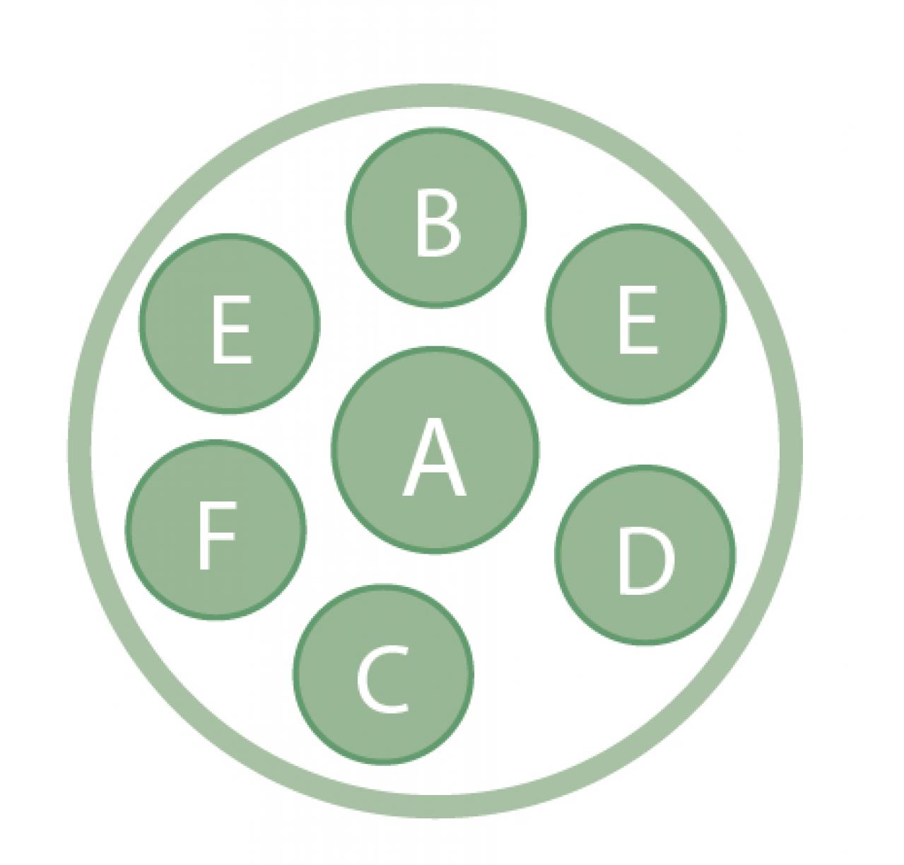 ニュアンスカラーの花を春まで楽しむ「アネモネ＆パンジー・ビオラ」の寄せ植え【ガーデニング】（画像3）