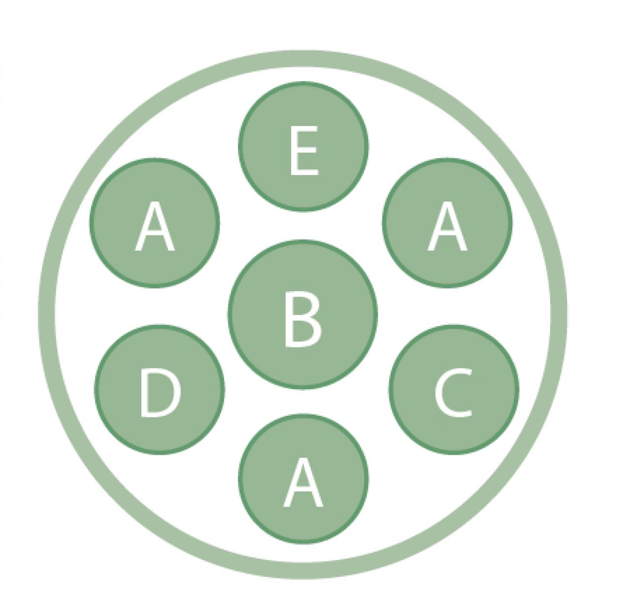 草姿と花で一年中楽しめる！「宿根草」のロングライフ寄せ植え【ガーデニング】（画像3）