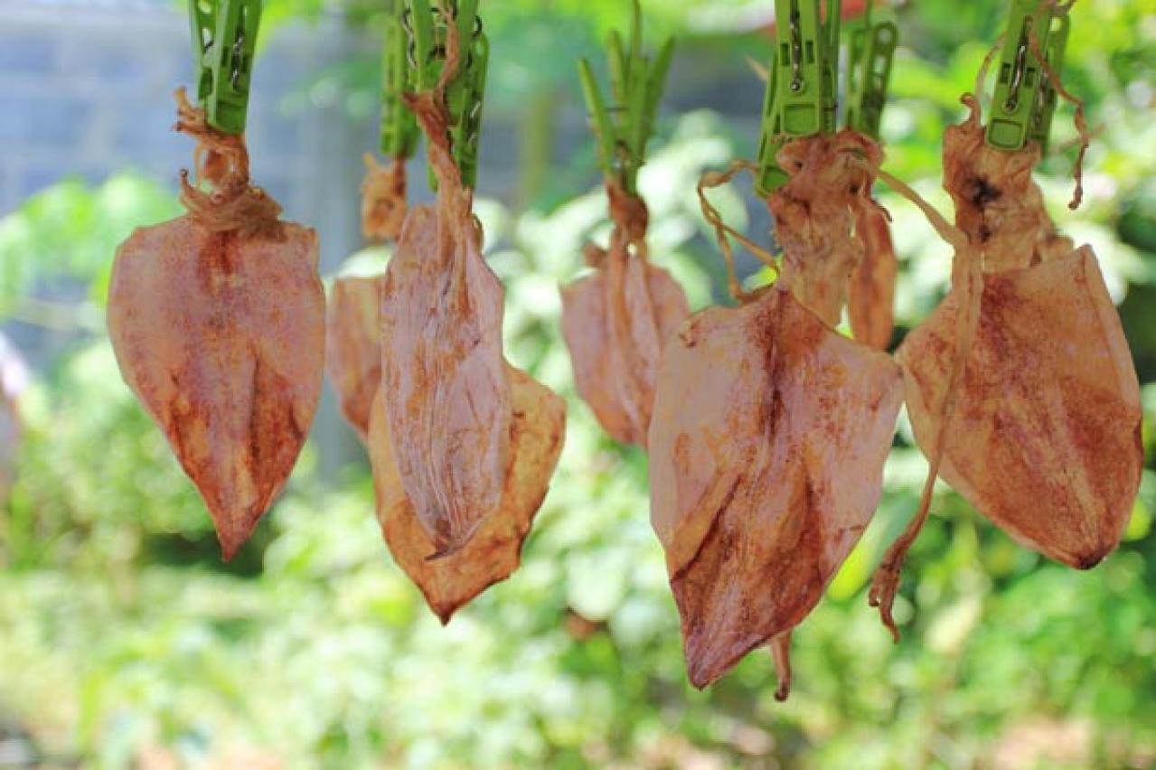 「足がつる！」を食事で予防する。マグネシウムのとり方とは？（画像2）