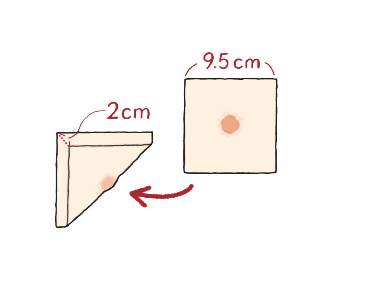 【ガーデニング】料理はもちろんクラフトに使っても楽しいハーブ【トウガラシ】の栽培方法と活用アイデア3選（画像9）