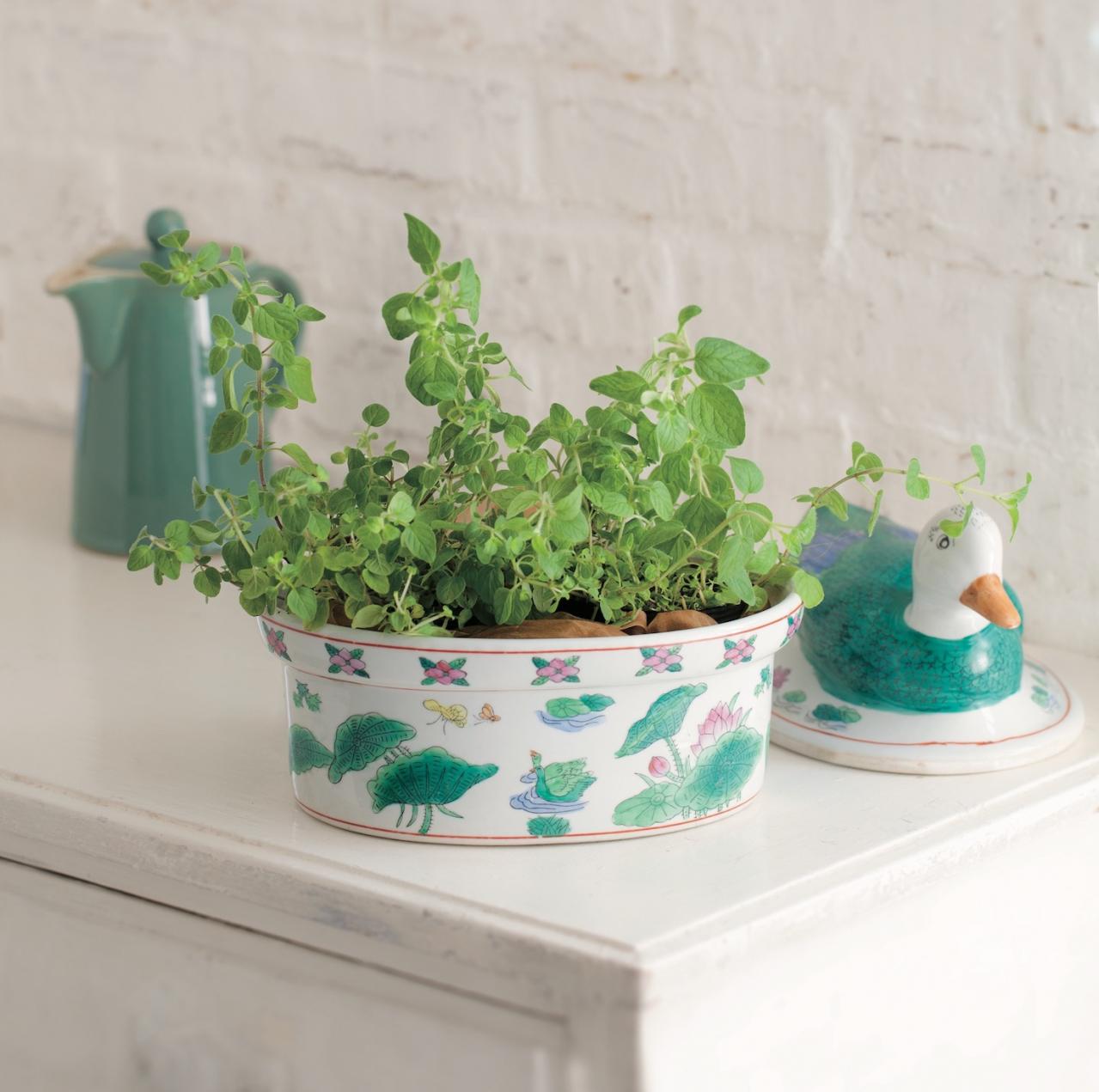 【ガーデニング】育てて楽しい多年草ハーブ【オレガノ】の栽培方法と活用アイデア2選（画像4）