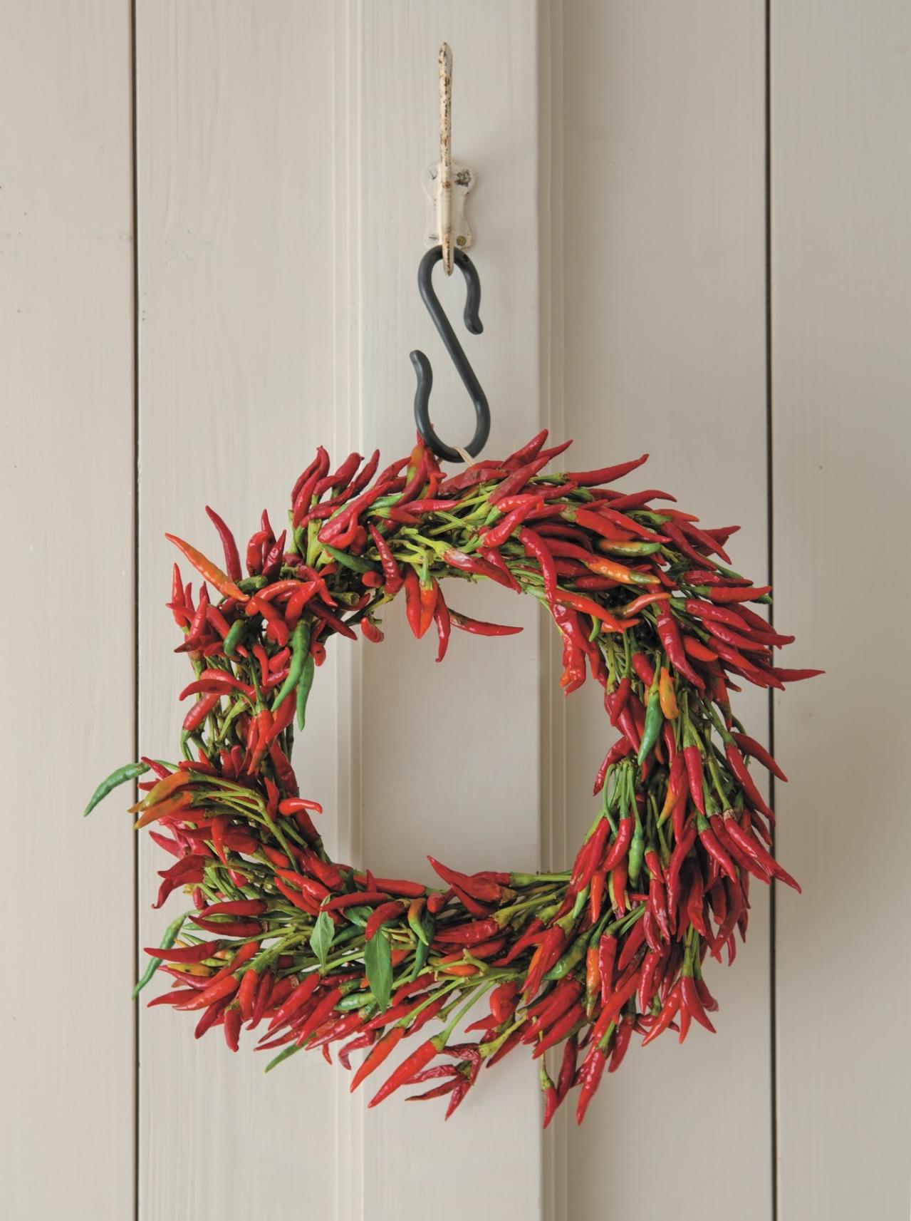 【ガーデニング】料理はもちろんクラフトに使っても楽しいハーブ【トウガラシ】の栽培方法と活用アイデア3選（画像6）