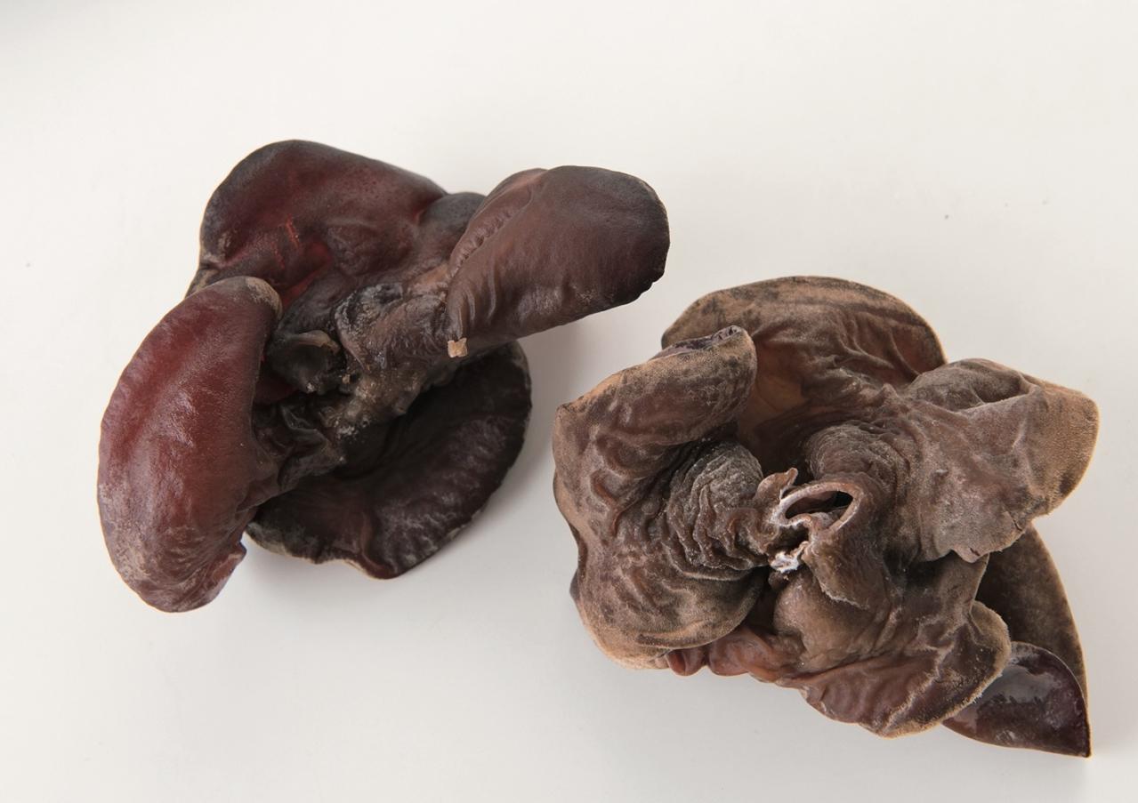 旬の秋に食べたい【きのこ×魚介の主菜】2選「帆立の卵炒め」「ぶりのおろし煮」（画像3）