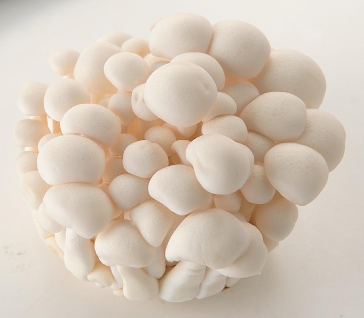 秋に食べたい【きのこ×肉の主菜】3選「肉団子の中華煮」「里いものシチュー」「手羽の素揚げ」（画像3）