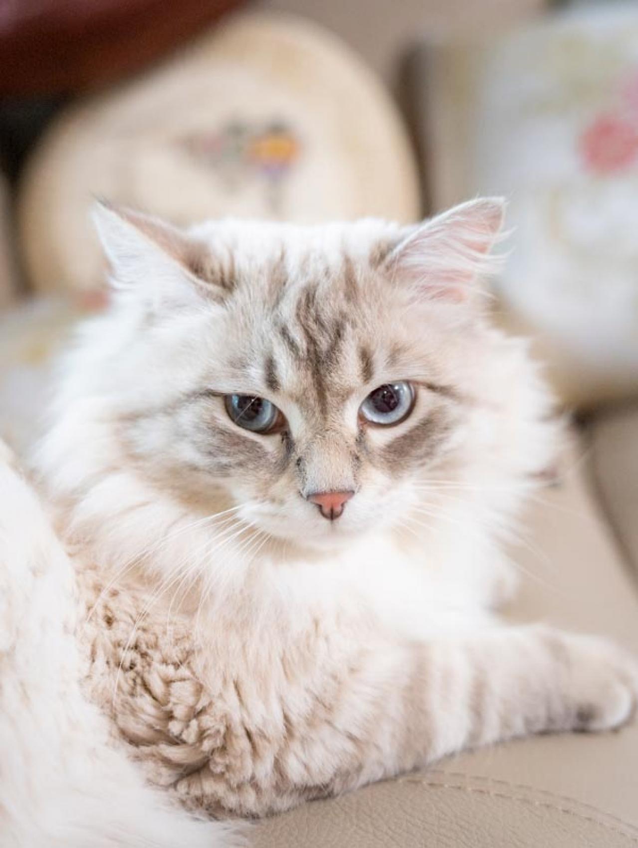 91歳　樋口恵子さんの課題。「ピンピンコロリは理想的ですが、現実はそう簡単にはいきません」（画像2）