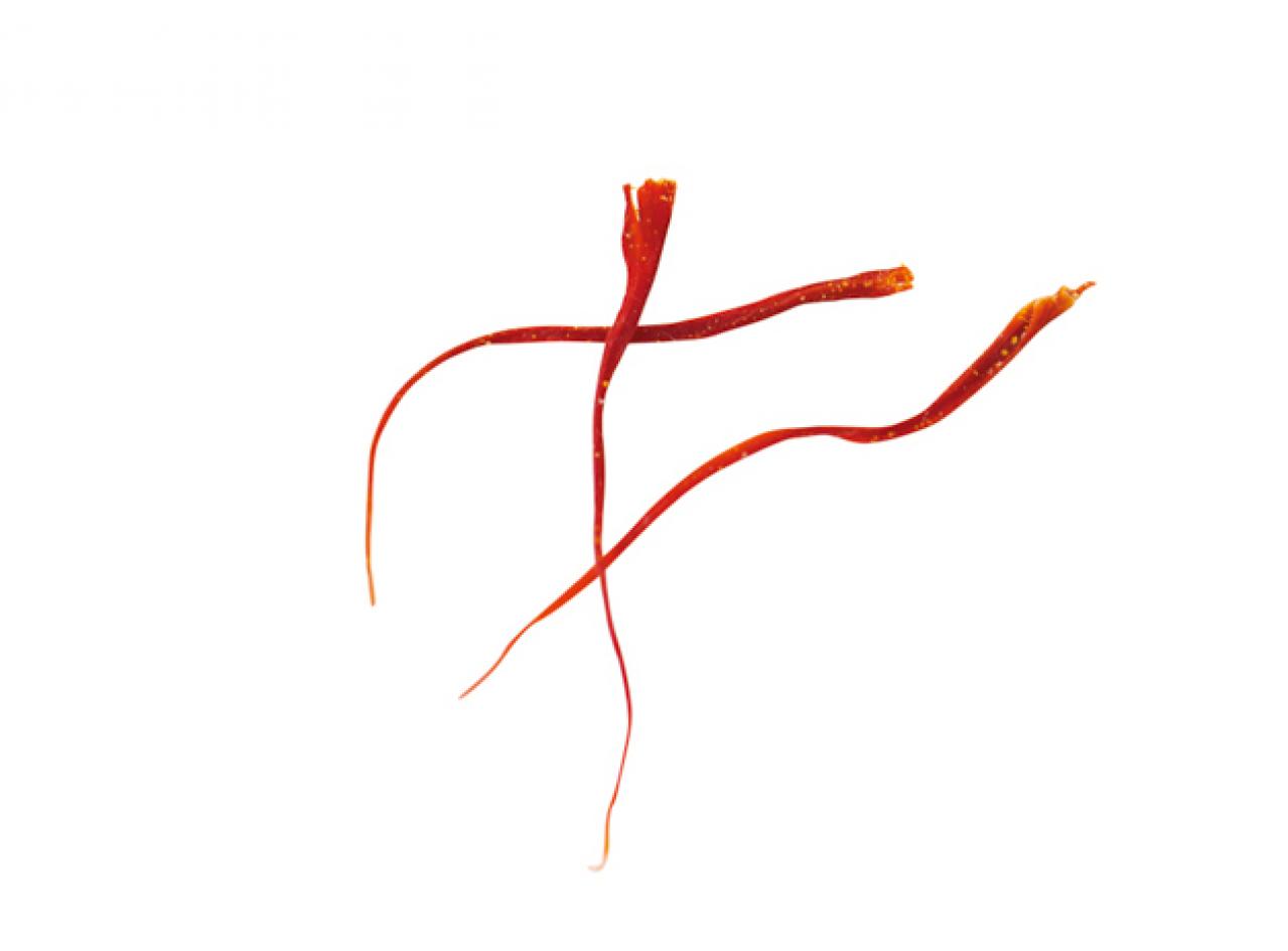 【ガーデニング】貴重なスパイスだからこそ自分で育てたいハーブ【サフラン】の栽培方法と活用アイデア3選（画像3）