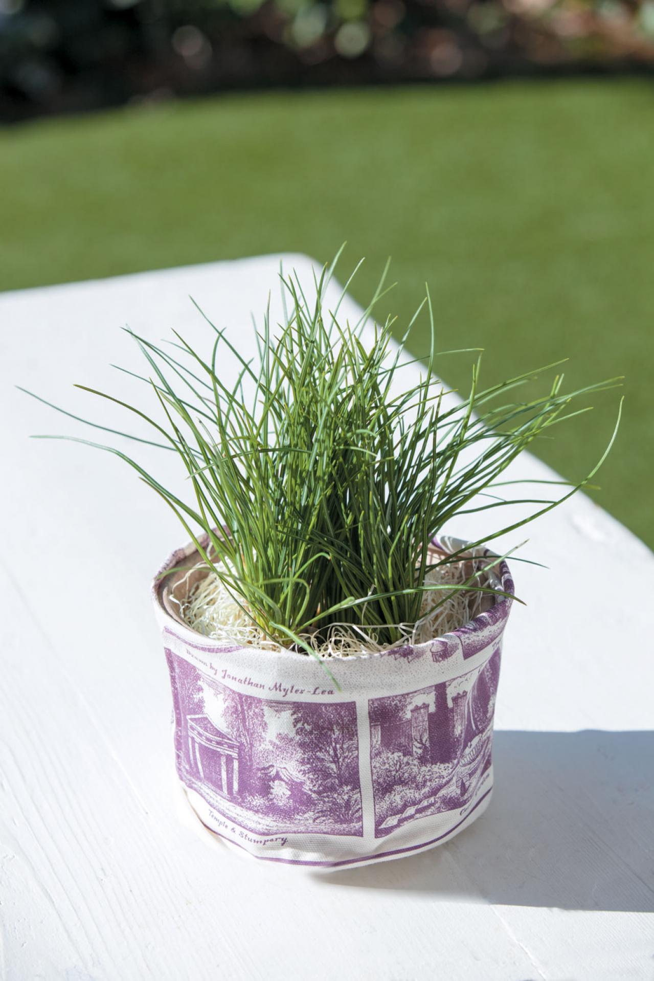 【ガーデニング】貴重なスパイスだからこそ自分で育てたいハーブ【サフラン】の栽培方法と活用アイデア3選（画像4）