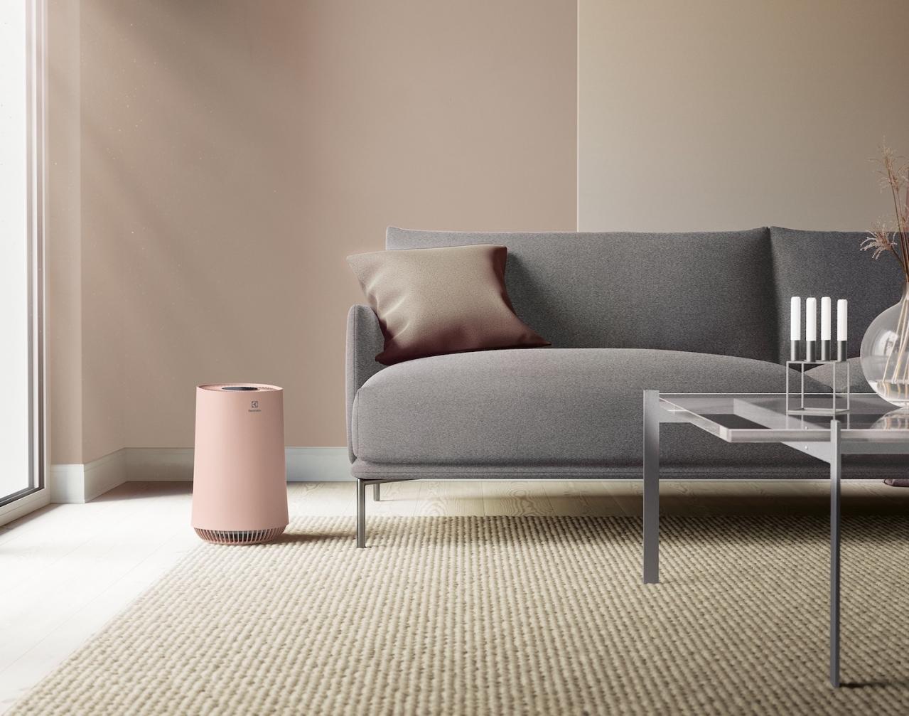 掃除の手間が減る！ 50代からのコンパクトな【空気清浄機】3選｜家電のプロ・神原サリーさんおすすめ（画像10）