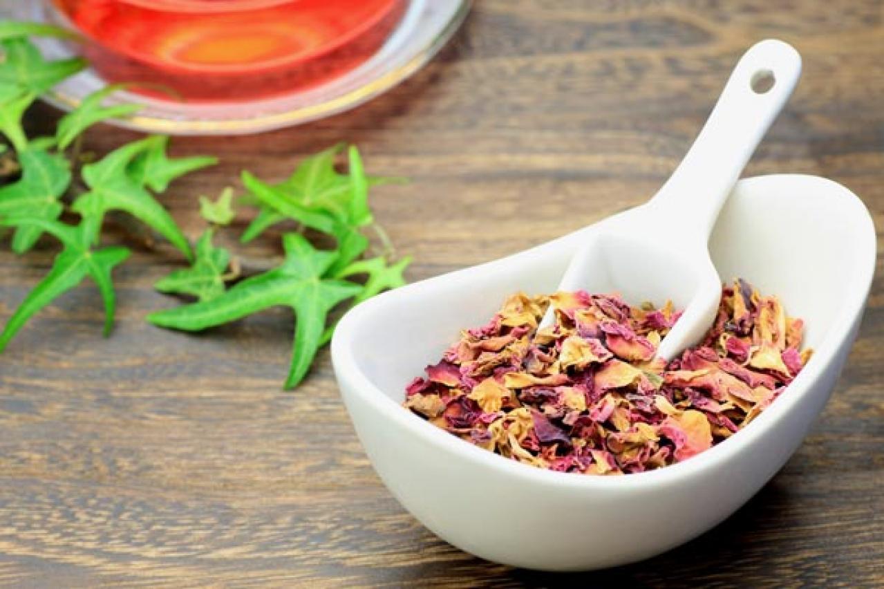 【ガーデニング】秋バラを終えると、ローズヒップの季節！赤や黄色の実を楽しもう！（画像6）