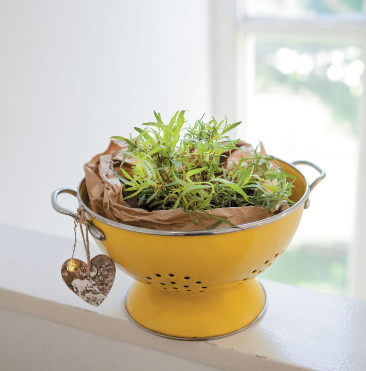 【ガーデニング】料理をぐんと格上げする多年草ハーブ【タラゴン】の栽培方法と活用アイデア3選（画像4）