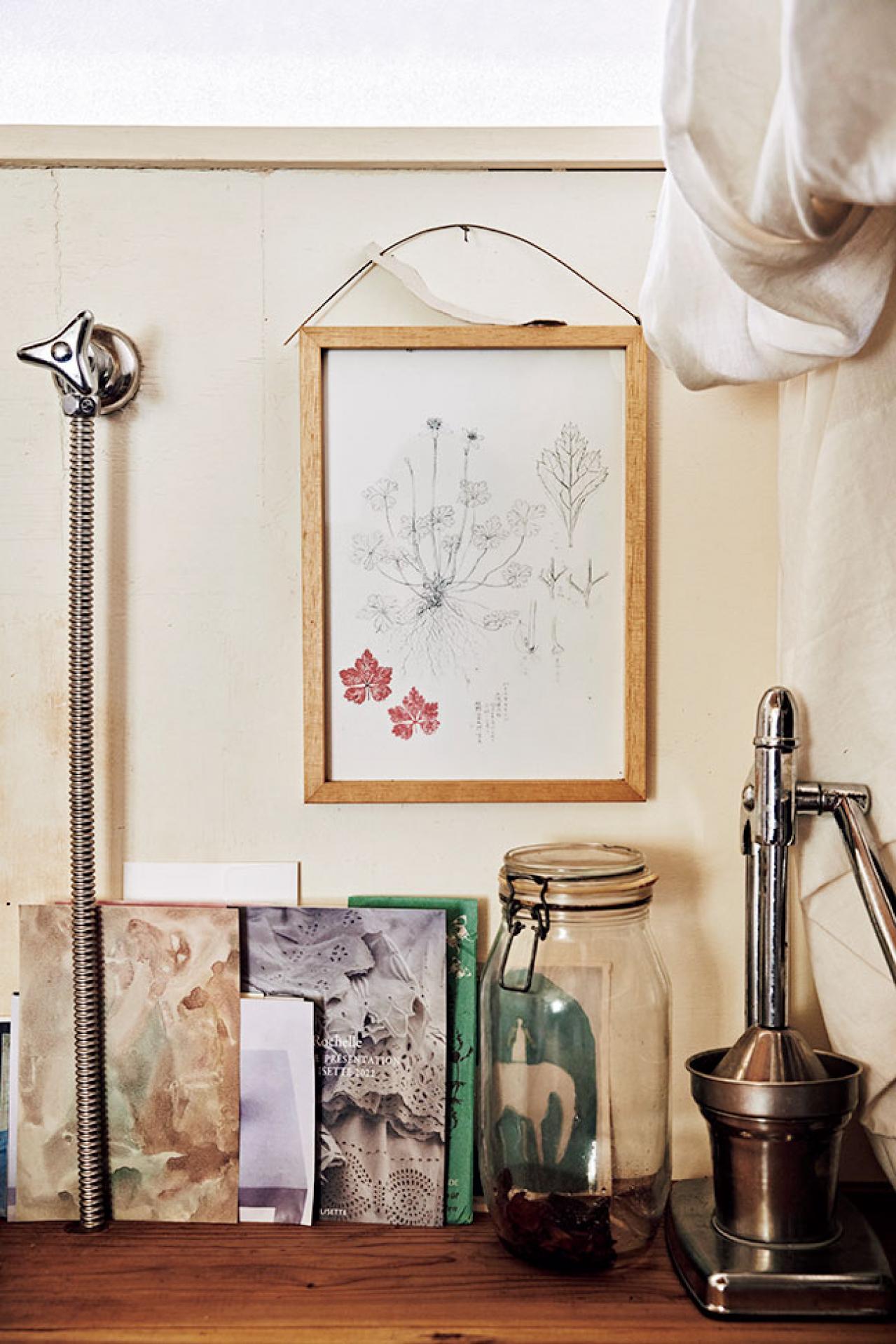 【大人のひとり暮らし】鎌倉の古民家をD I Y で自分仕様に！山下りかさんの自然を慈しむ暮らし（画像14）