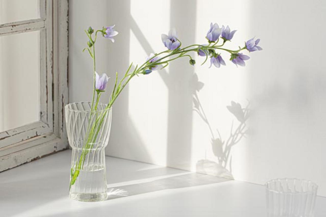 熟年離婚で“夫の年金の半分がもらえる”は誤解！3号分割と合意分割を知っておこう【井戸美枝さんがアドバイス】（画像3）