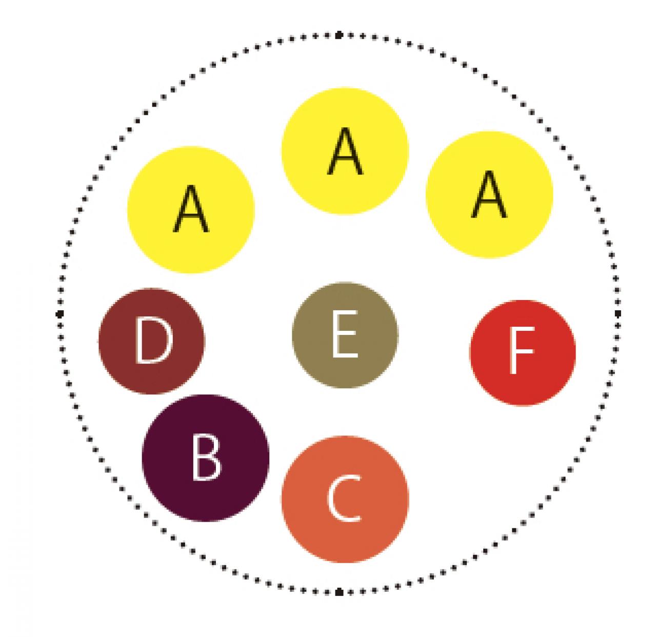 カラフルな花が晩春まで繰り返し咲く「プリムラ」の寄せ植え【ガーデニング】（画像5）