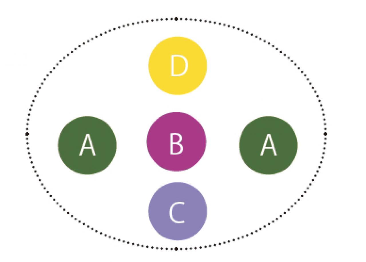 冬から晩春まで長く楽しめる「ミニハボタン」の寄せ植え【ガーデニング】（画像5）