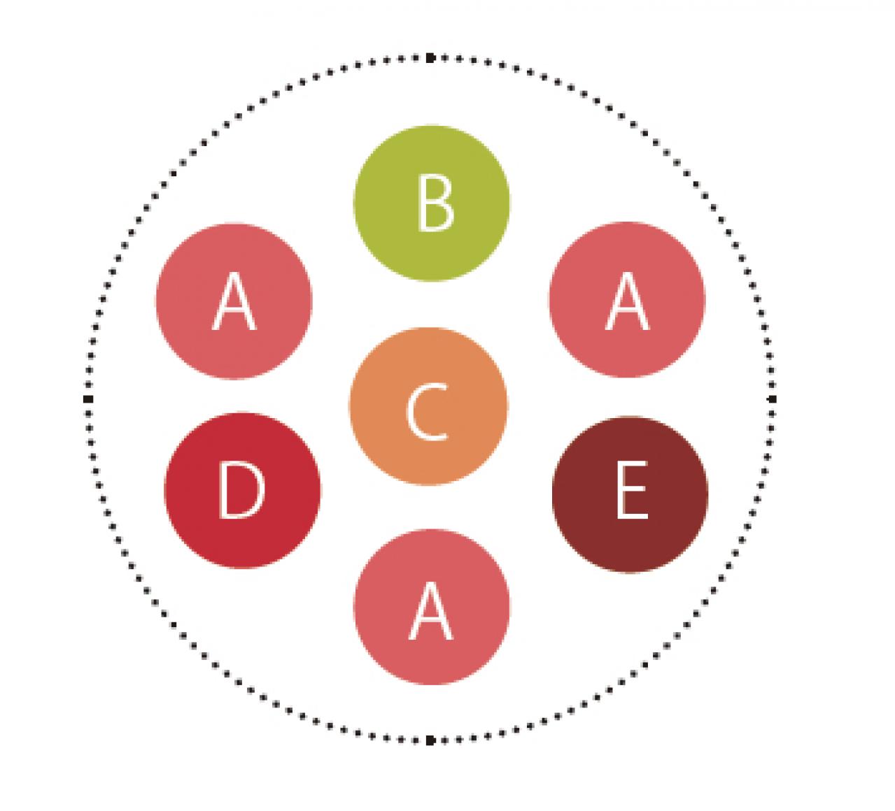 キュートなピンクの花が次々に咲く「ガーデンシクラメン」の寄せ植え【ガーデニング】（画像5）