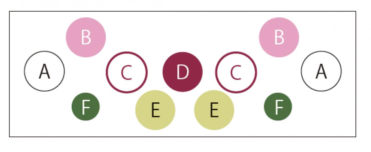 ローメンテナンスで春まで長く楽しめる「ガーデンシクラメン」の寄せ植え【ガーデニング】（画像3）