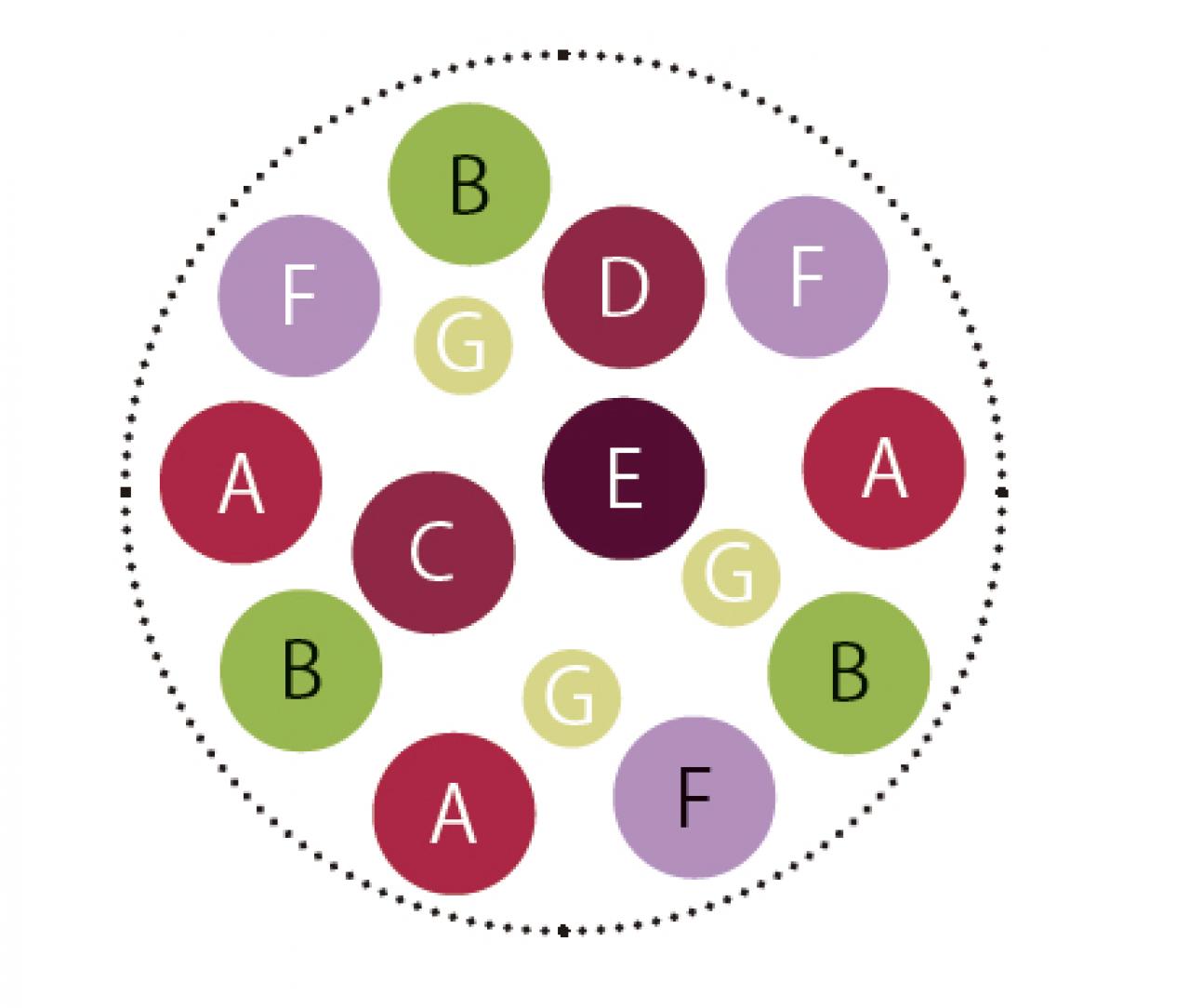 冬の庭がぱっと華やぐ！「シクラメン、プリムラ、ハボタン」の寄せ植え【ガーデニング】（画像5）