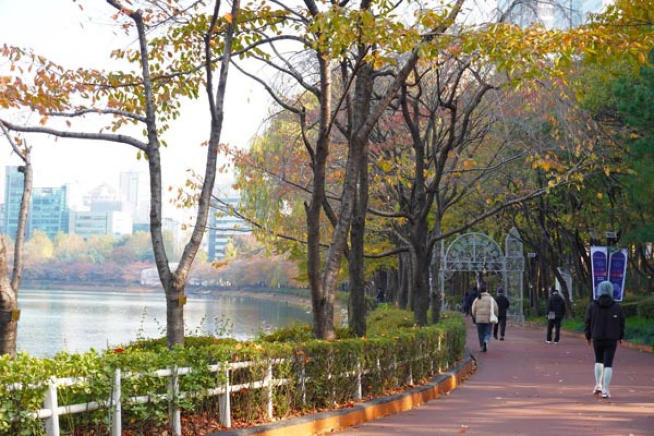 ソウルはクリスマス一色！ロッテが総力を注ぐ蚕室のクリスマス広場／松理団ギルの人気カフェ（画像8）