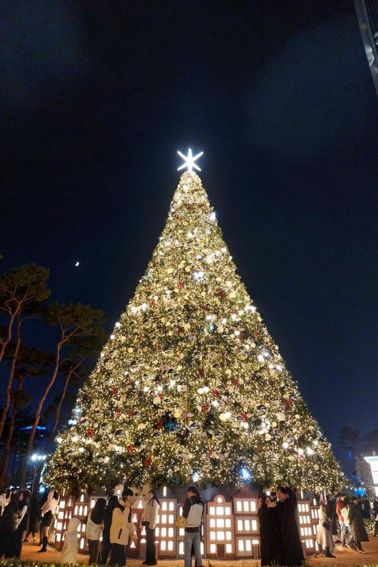 ソウルはクリスマス一色！ロッテが総力を注ぐ蚕室のクリスマス広場／松理団ギルの人気カフェ（画像4）