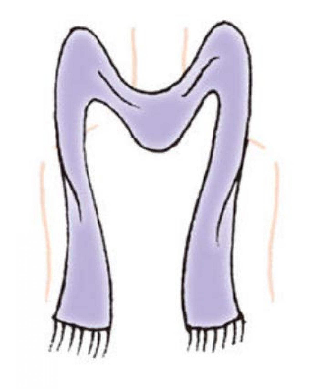 簡単でかわいい！マフラー巻き方2選「プレーンロール」と「ダブルクロス」（画像3）