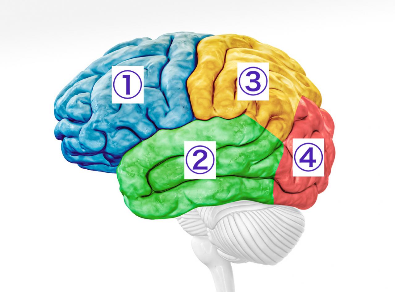 和田秀樹さんが語る「幸せな老後を送るためには、早いうちから前頭葉を鍛えることが大事」（画像3）