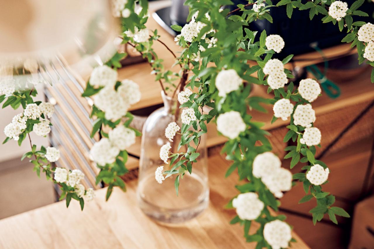 【大人のひとり暮らし】賃貸アパートを植物と家具で好みの空間にして楽しむ、インスタグラマー ようさん（画像6）