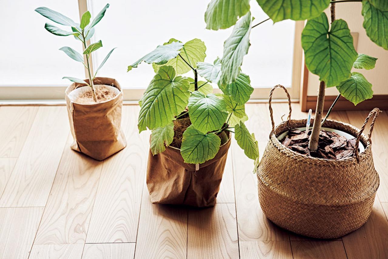 大人のひとり暮らし【後編】軽トラ2台分の捨て活を経て、最小限のもので暮らすインスタグラマー ようさん（画像7）