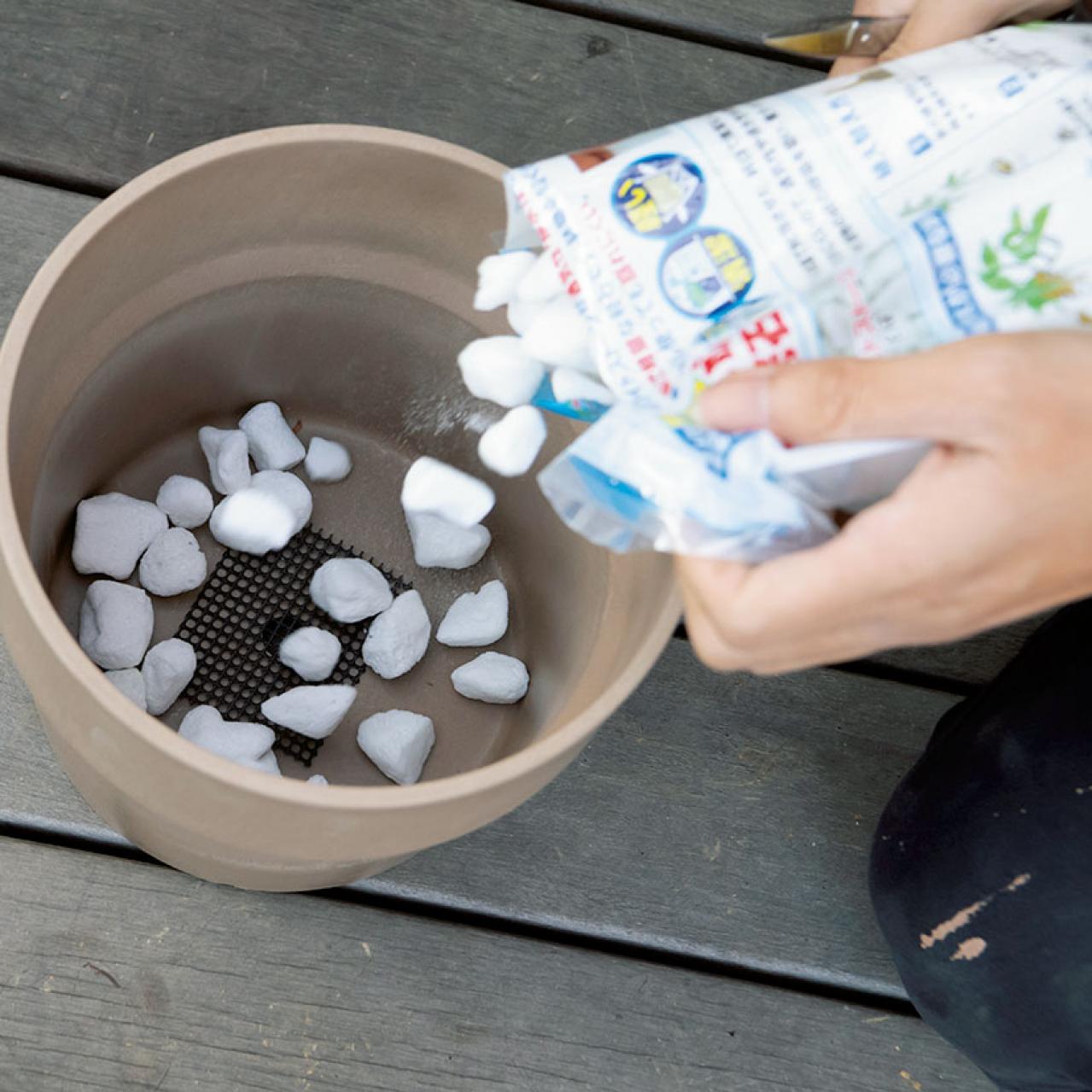 【写真でわかる！】中型観葉植物の植えかえ方。モンステラを5号鉢から7号鉢へ植えかえる【ガーデニング】（画像3）