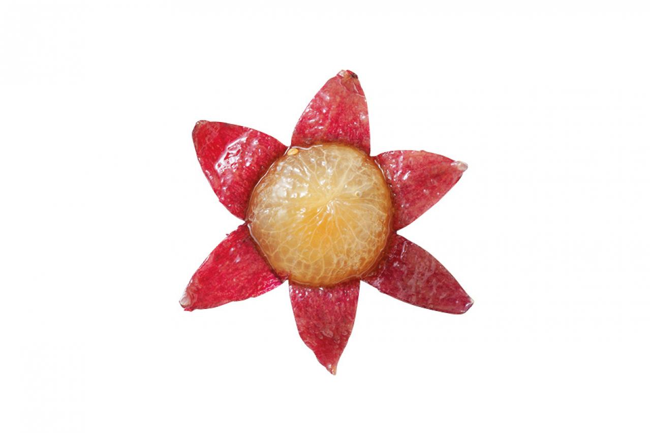 【大人かわいい飾り切り】食べるのがもったいないほどキュートな「フルーツボックス」（画像8）