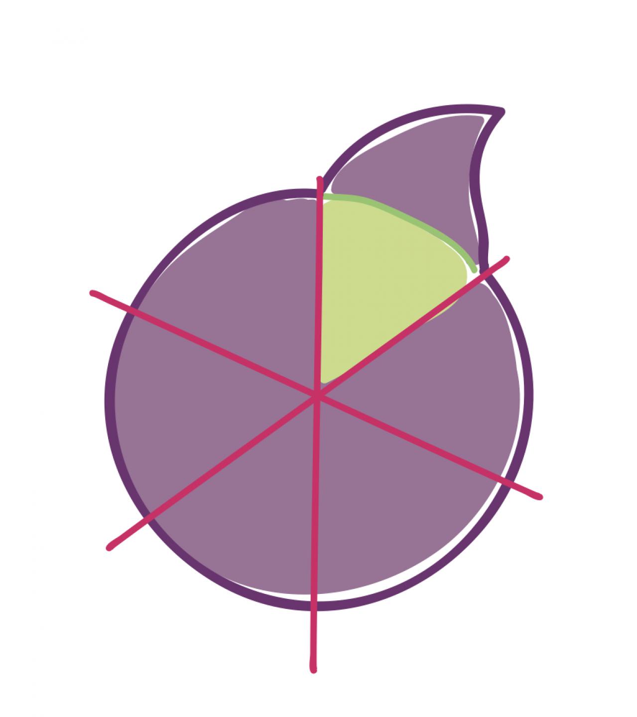 【大人かわいい飾り切り】食べるのがもったいないほどキュートな「フルーツボックス」（画像9）