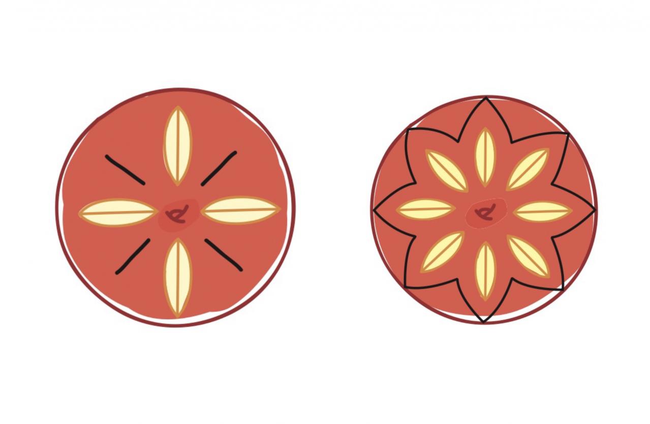 【大人かわいい飾り切り】おなじみのフルーツでおもてなし感を演出できる「アップルカッププレート」（画像6）