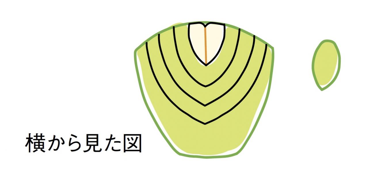【大人かわいい飾り切り】食べるのがもったいないほどキュートな「フルーツボックス」（画像18）
