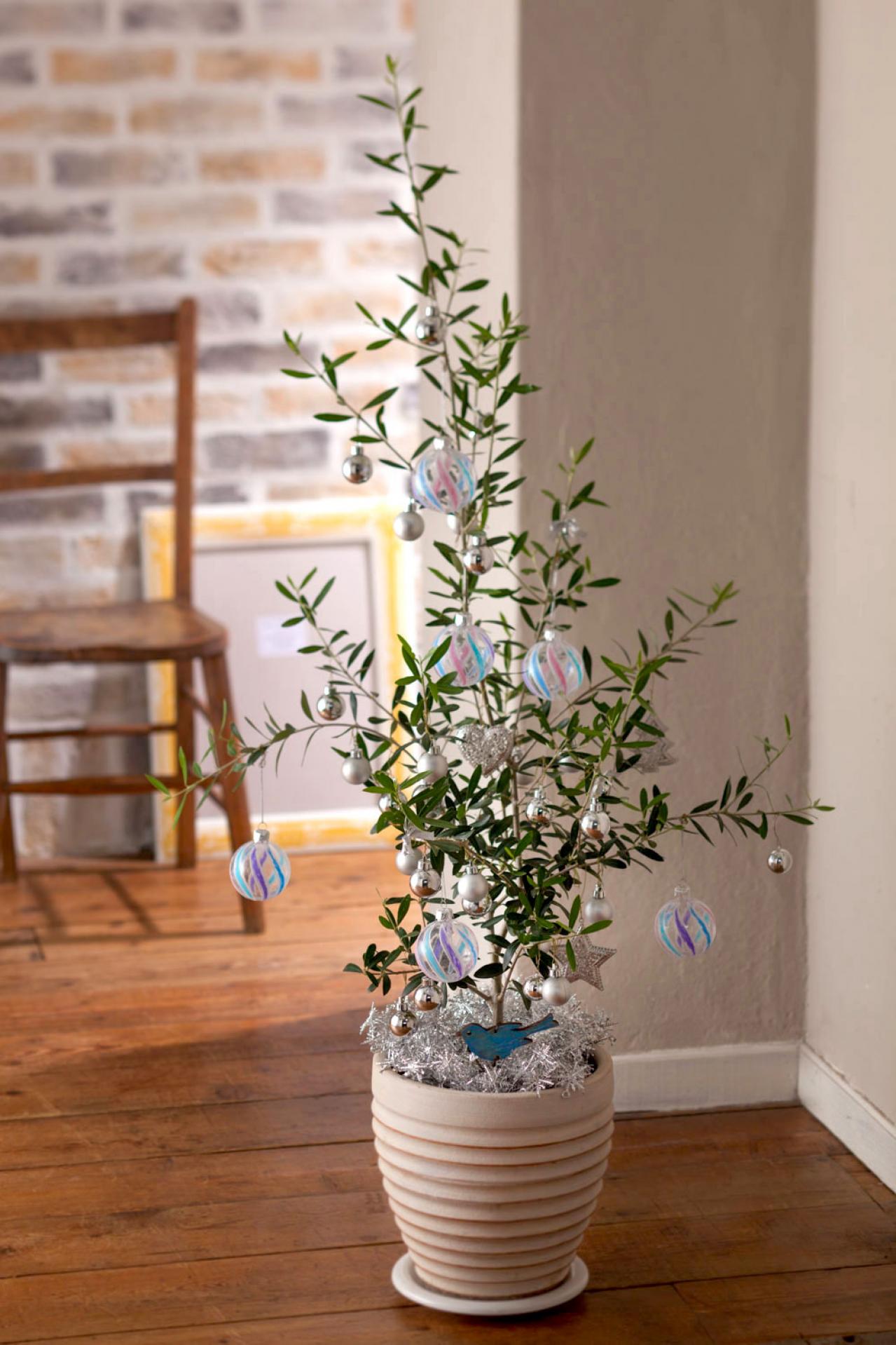 平和の象徴のハーブ【オリーブのクリスマスツリー】キラキラと輝くオーナメントで明るい気持ちに！（画像5）