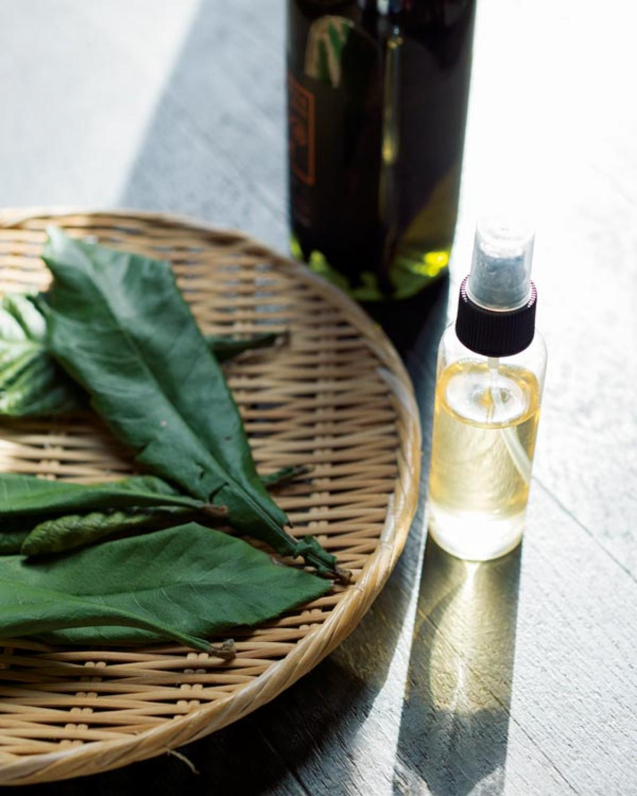 「お金がないから、買うのはお肉くらいです」元ミス日本 伊藤千桃さん70代の心豊かな暮らし方【2024年お金部門TOP10】（画像5）